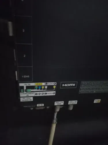 Televisão