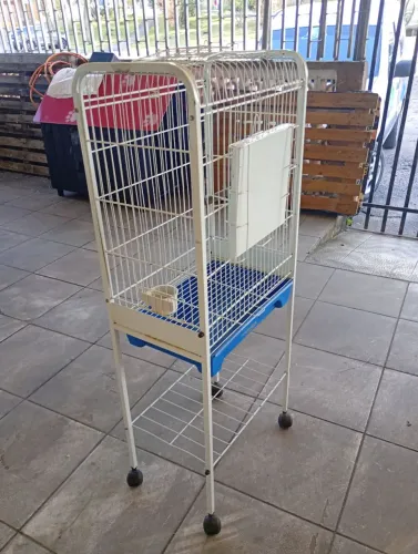 Viveiro para calopsita