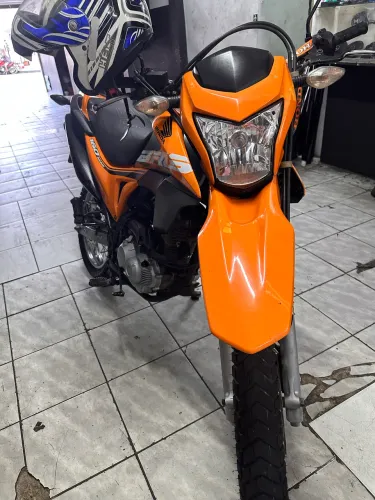 BROZ 2019 Laranja