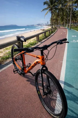 Bicicleta First; Modelo Aro 29; TAM 19
