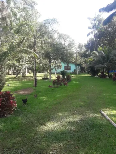Santa Izabel, Terreno para venda com pés de açaí para fins comerciais