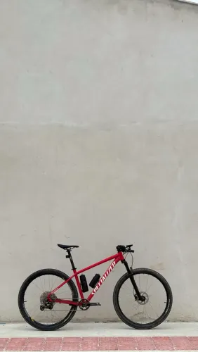 Specialized rockhopper L
