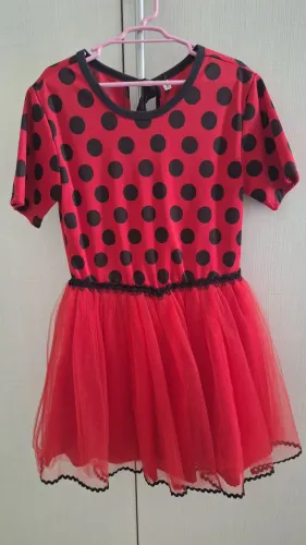 Vestido Ladybug