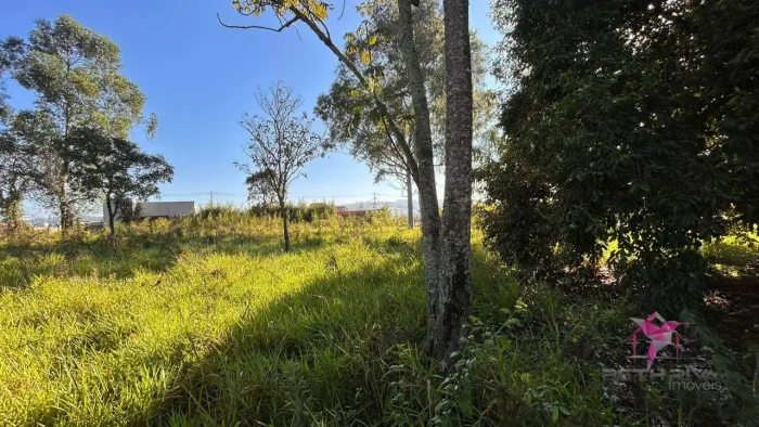 Terreno à Venda Espaço, Natureza e Excelente Localização