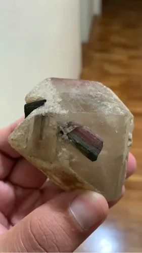 Turmalina Bicolor