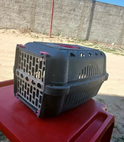 Caixa transportadora de animais