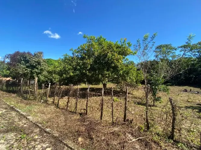 Terreno de 7.500m² Localizado na Serra do Coroatá-Altos/PI próx. ao Bairro Santa Teresa