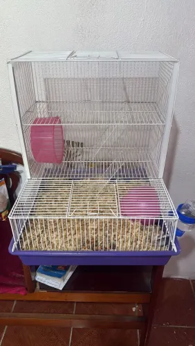 Gaiola 3 andares com 2 Hamsters