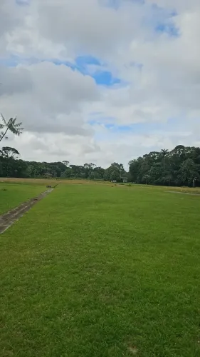 Imóvel para aluguel com 50000 metros quadrados em Tenoné - Belém - PA