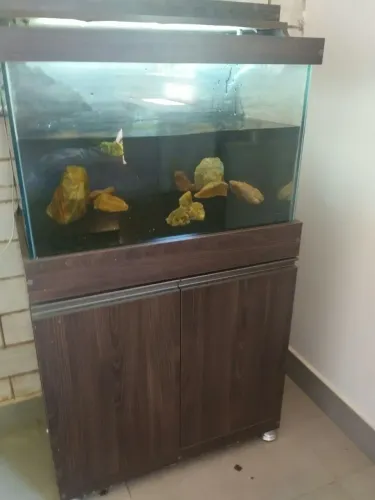Aquário 110 Lts