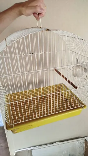 VENDO 2 GAIOLAS POR 150