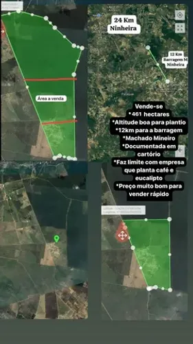 Área de 461 Hectares  Para Plantio de Eucalipto