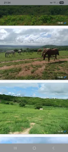 TERRENO COM HARAS PRÓXIMO A BANANEIRAS-PB