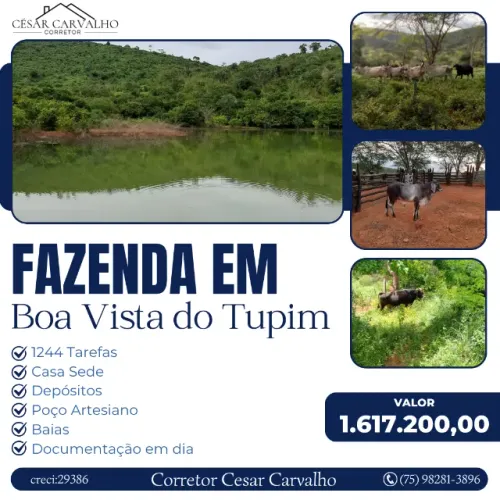 FAZENDA EM BOA VISTA DO TUPIM - 1244 TAREFAS