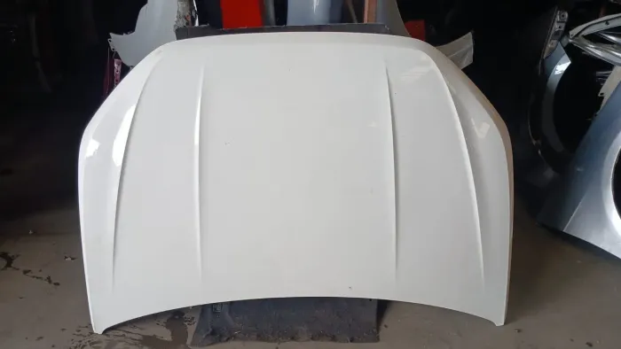 Capô Volkswagen Nivus 2020 A 2023 Original 