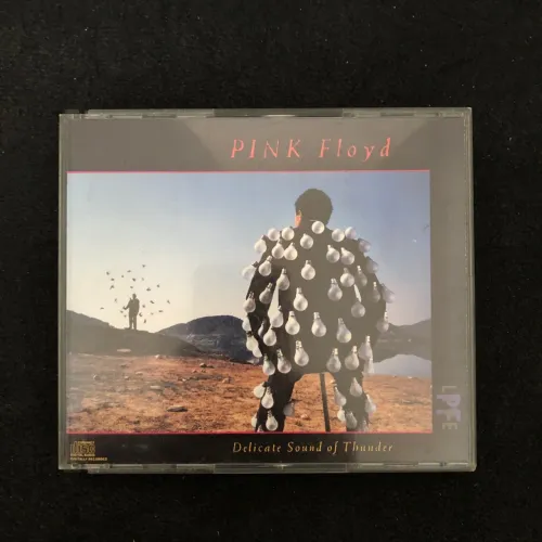 Pink Floyd - Delicate Sound of Thunder (CD fat box)