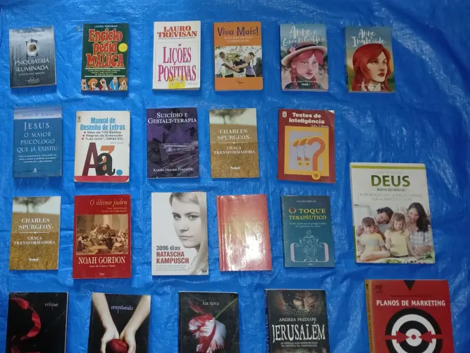 Livros usados de diversos temas