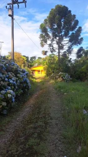 Chácara com tanque ( permuta )