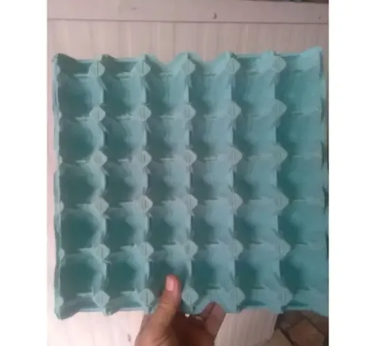 Embalagem pra 30 ovos ( 100 unidades)