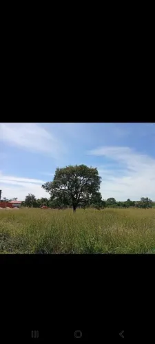 Chácara 28 km Uberlândia. Top aceito trocas carro meu interesse..