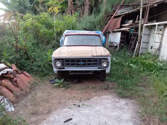 Chevrolet D-10 Diesel 1978