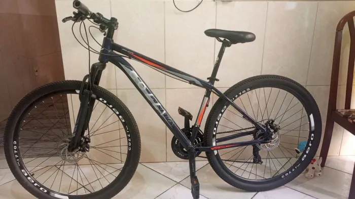 Bicicleta 29