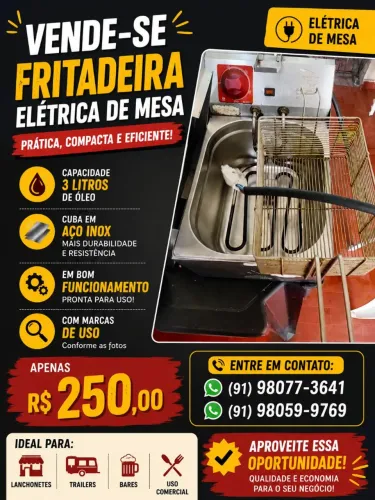 Vende-se fritadeira eletrica capacidade 3 litros de oleo