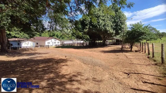 Fazenda à Venda Vila Propício / Goianésia - GO | 166 Alqueires