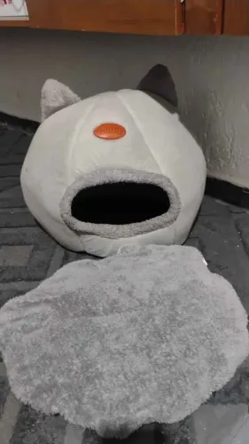 gato