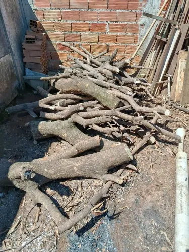 Doação de madeira para lenha 