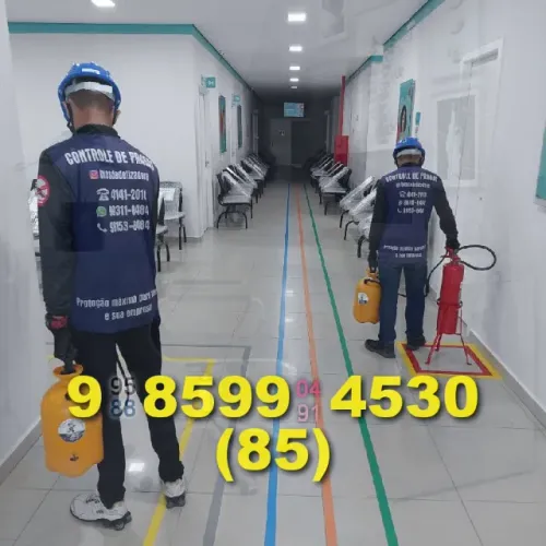Dedetizacao em Cambeba e São Gerardo com preço justo e qualidade garantida!