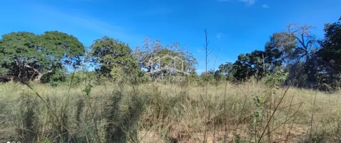 ABAIXOU!!VENDO FAZENDA NA REGIÃO DE IBIAI MG, PARA DUPLA APTIDÃO!!!