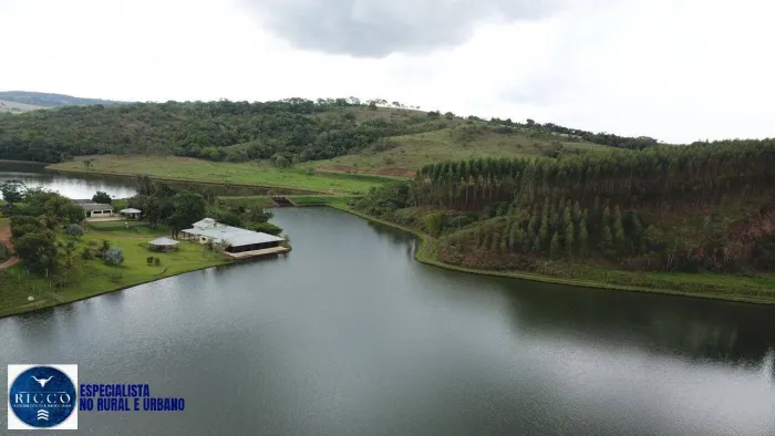 Fazenda à Venda em Bela Vista de Goiás | 342 Alqueires | Lavoura e Pecuária