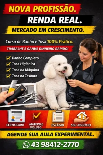 Oportunidade de profissão