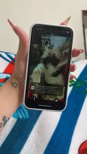 XR com traseira quebrada