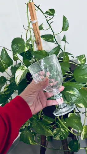 Jogo com 6 Taças Diamond de Vidro Transparente de Agua ou Suco 340ml