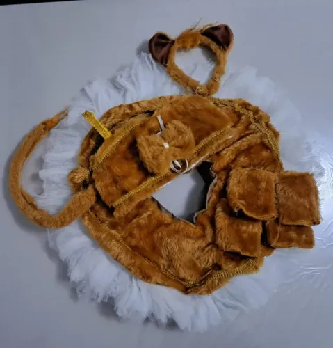 Figurino de Leãozinho completo com Tiara e Acessórios!