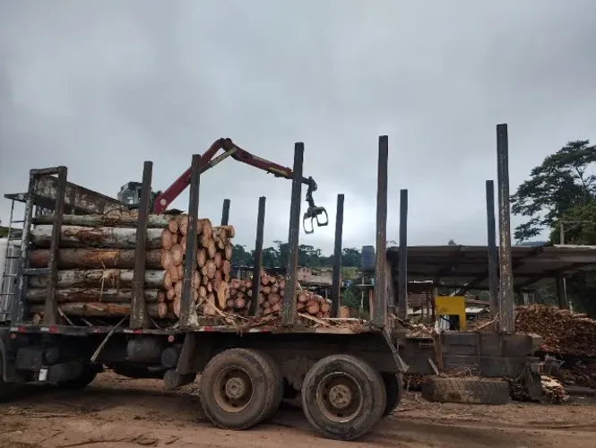 Carroceria de Scania florestal 