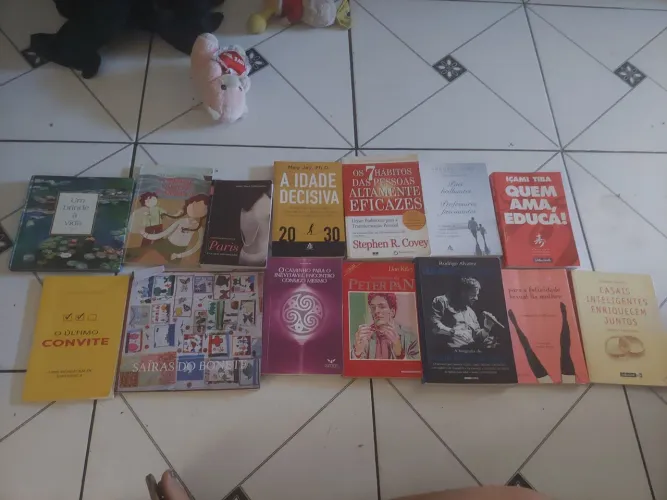 Lotinho de livros