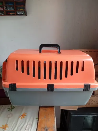 Viajante para cão e gato