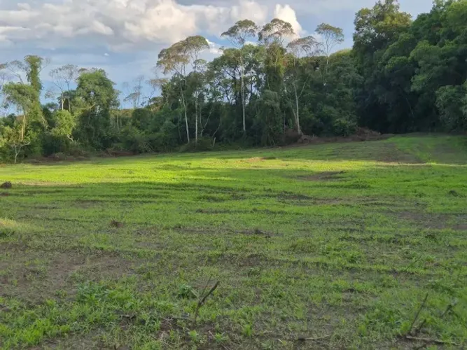 Chácara perto de Curitiba | Direto com o proprietário