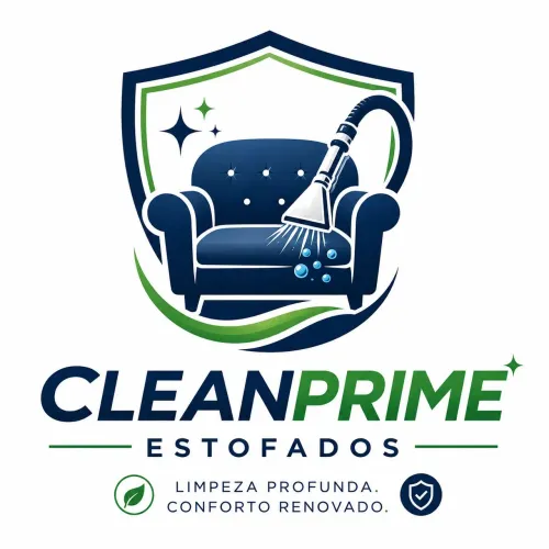 Higienização de estofados e bancos automotivo