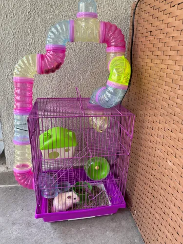 Gaiola + hamster e acessórios 