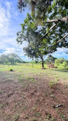 Terreno à Venda - Barra do Jacuípe