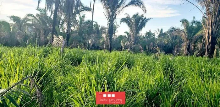 Fazenda para Venda em Recursolândia