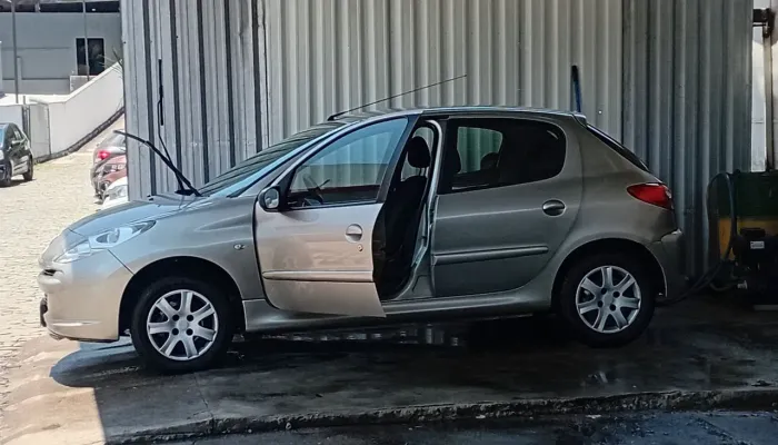 Peugeot 207 XR 1.4 Flex 8V 5P 2013