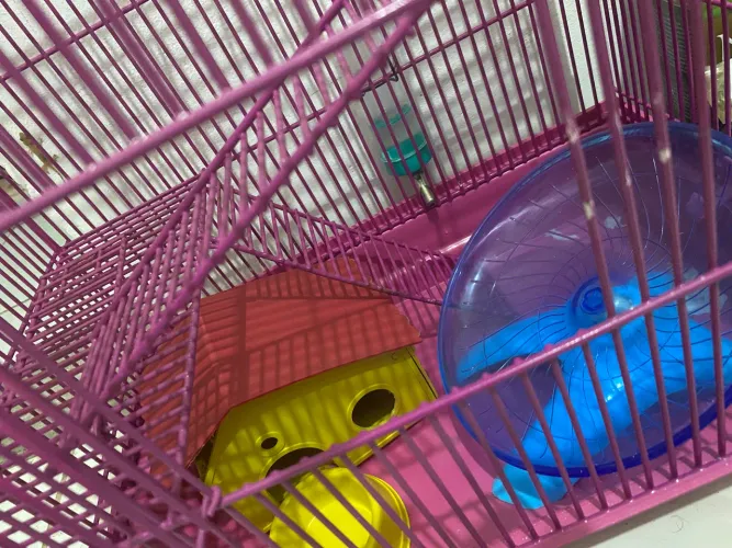 Vende-se gaiola de hamster semi nova com acessórios