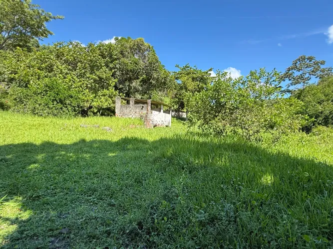 Sítio em Igarassu medindo 8,4 hectares