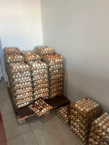 Ovos caipira