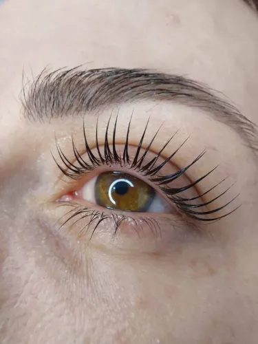 Moradoras do Sul da Ilha | Condição Especial para Lash Lifting